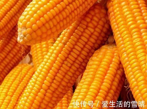 紫菜|肚子和下半身有赘肉的人,推荐多吃4种食物,减脂超快