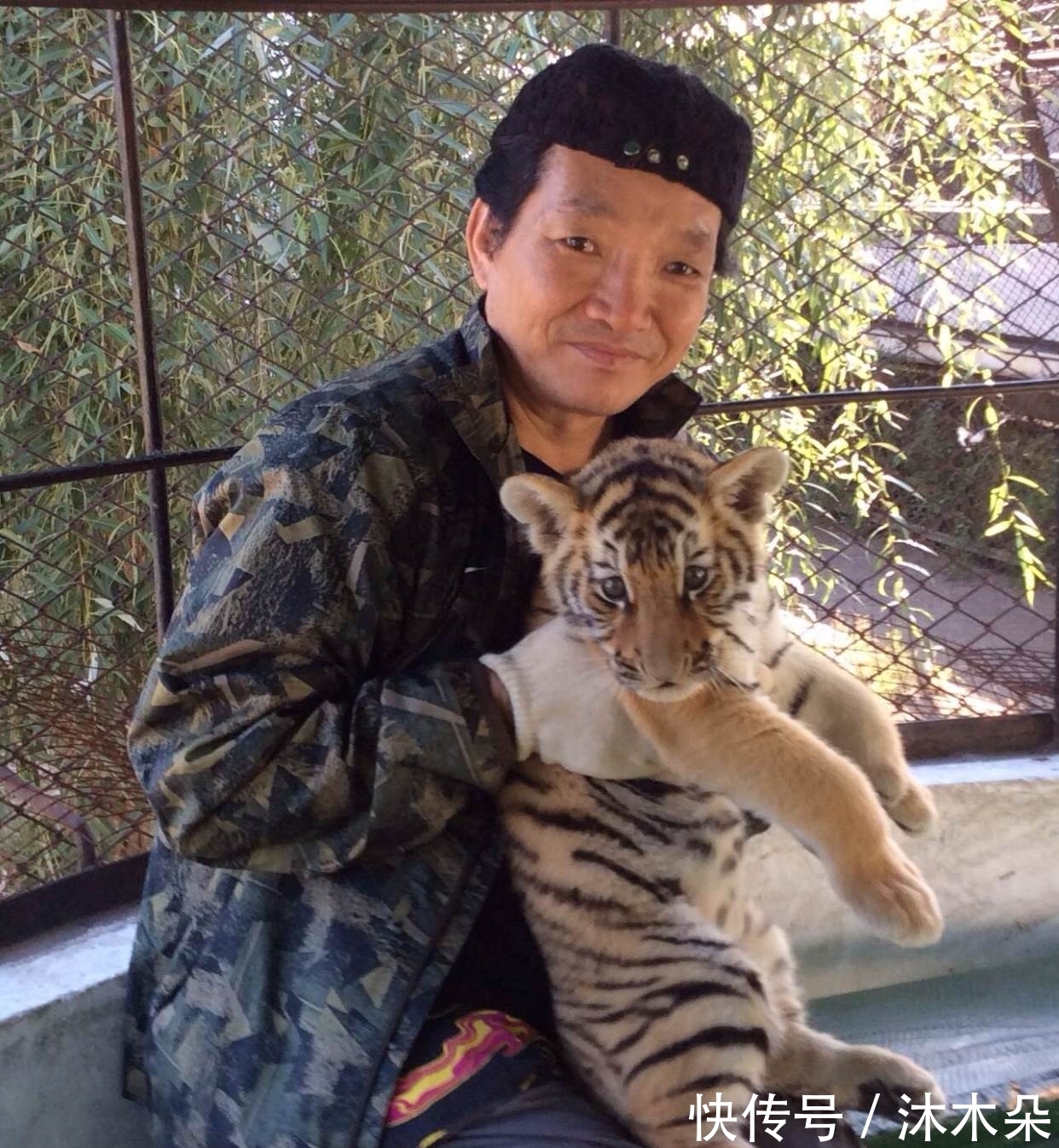 刘继卣&层层渲染、重重叠色,笔笔描画,这老虎绝了