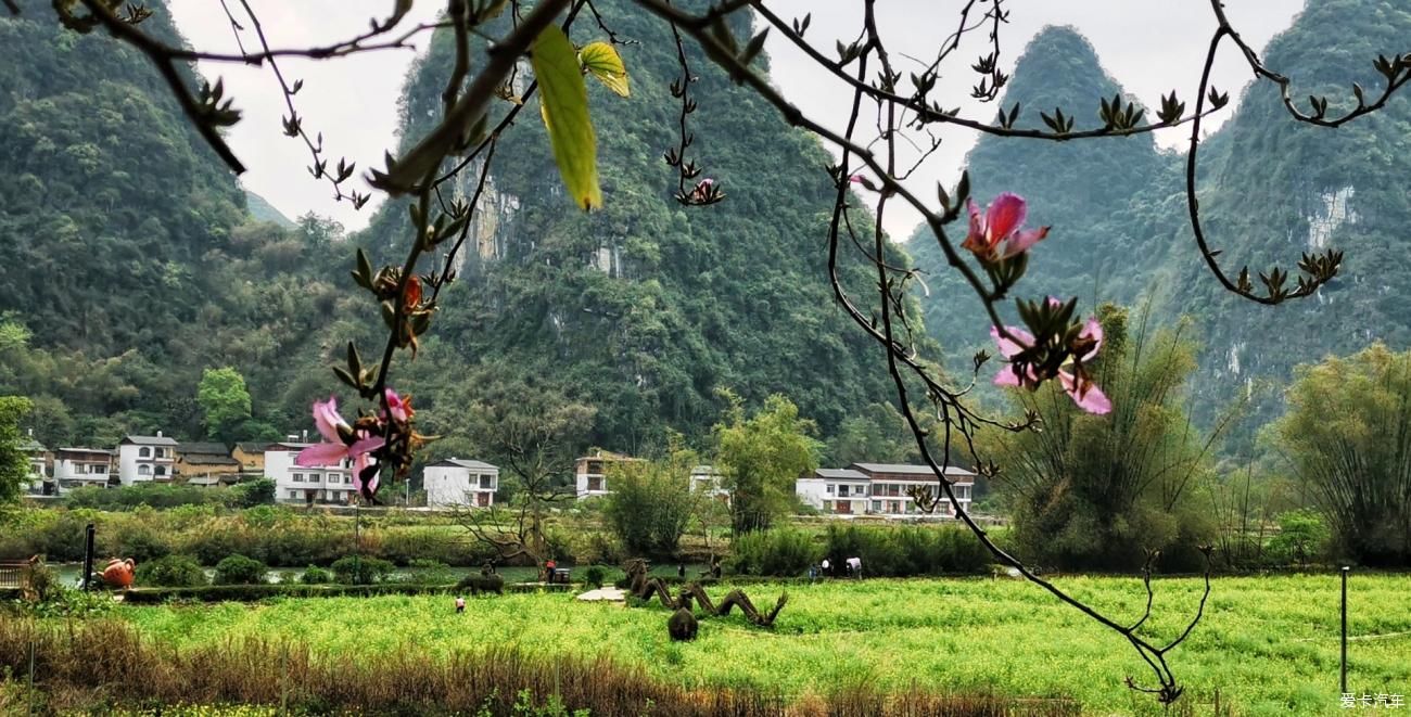 老年|桂林山水甲天下，阳朔山水甲桂林