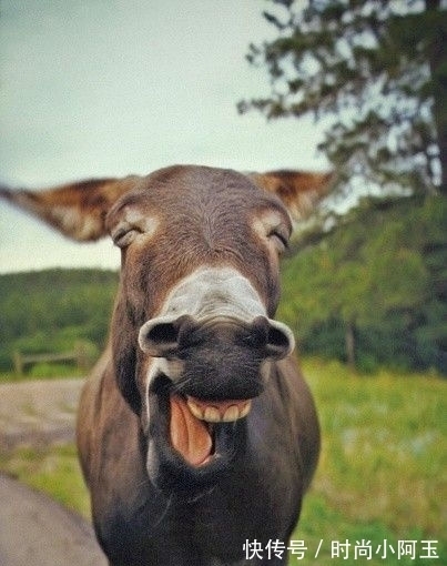 香口胶|12个有趣得到验证的冷知识