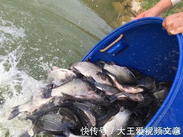 空军|十钓九空,钓鱼人为啥还那么起劲全靠这5句话骗自己