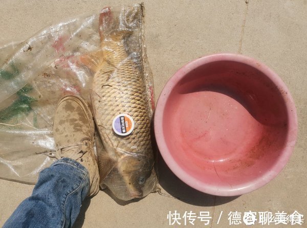 钓动|户外钓鲤鱼，把握好这6钓6不钓，渔获往往不会差