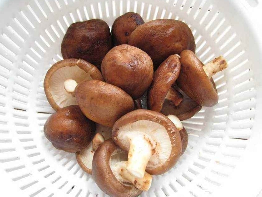 清洗香菇有窍门,记得加点它,香菇更干净,吃起来更健康