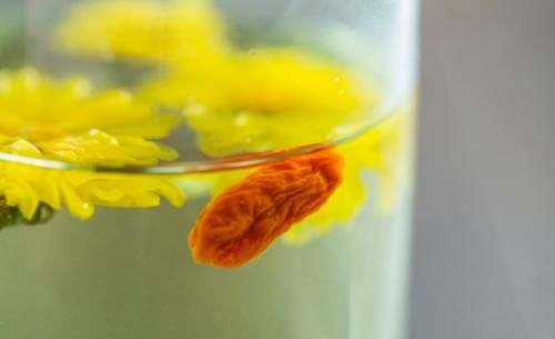 枸杞|枸杞与菊花“搭配”,是助眠的好帮手,清热养肝,缓解肝性失眠