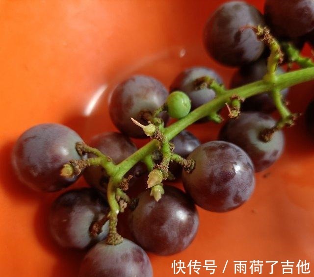 凉粉|网红饮品绿峰有礼，做法简单，超级好喝！