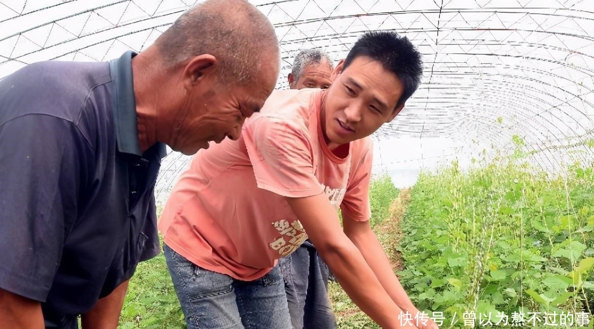 毕业生|专科毕业生的心声：如果大学可以重读，我不想再错过这3件事