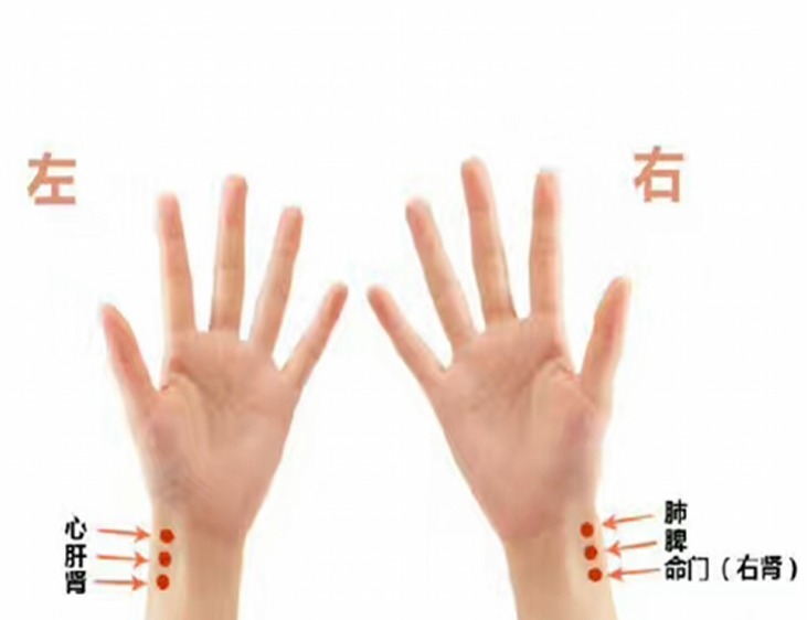 脉象的变化|把脉看怀孕是看“滑脉”,青壮年也可能有这种脉象,到底准不准?