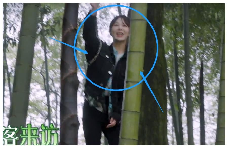 杨紫做客下期《向往5》，与张子枫热聊，穿张艺兴同款睡裤引热议