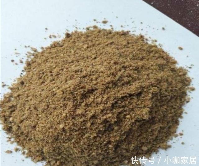 花孕蕾|养长寿花,花盆里放3种“小东西”,花苞长满枝头