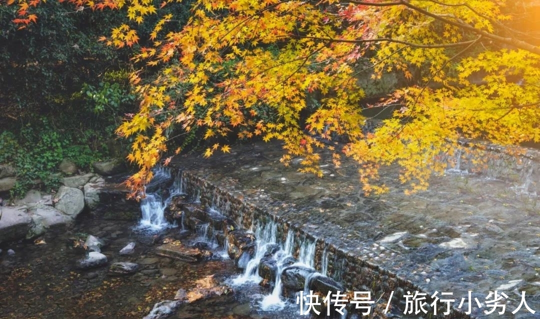 丹枫&读秋,一卷诗书