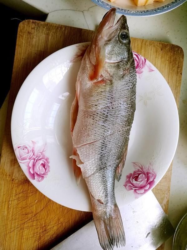  它是被“误解”最多的鱼，比鲤鱼营养，浑身是宝，7元1斤无人问