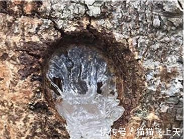 女人味|女人不想老太快，多吃这些碱性食物，激发女性激素，更有女人味！