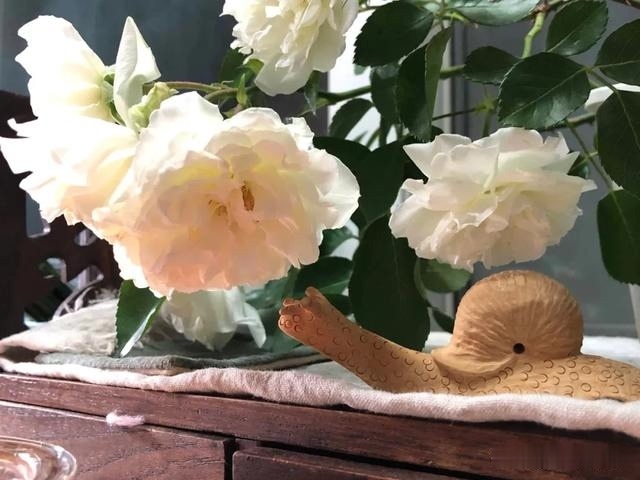 圆滚滚的绣球,瀑布般的花墙,这届花友也太会种花了吧