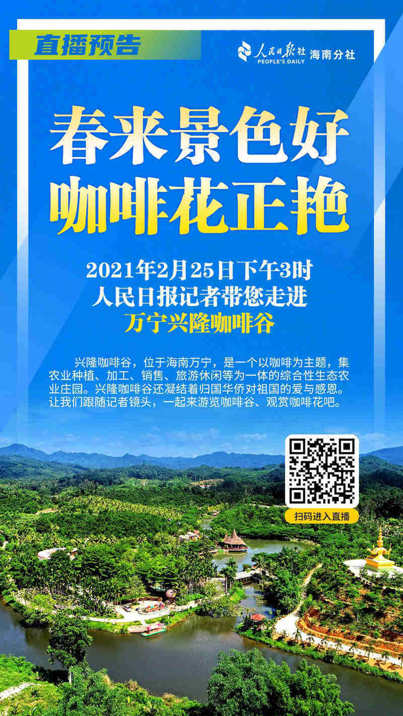 春来景色好 咖啡花正艳 人民日报记者将带你走进兴隆咖啡谷