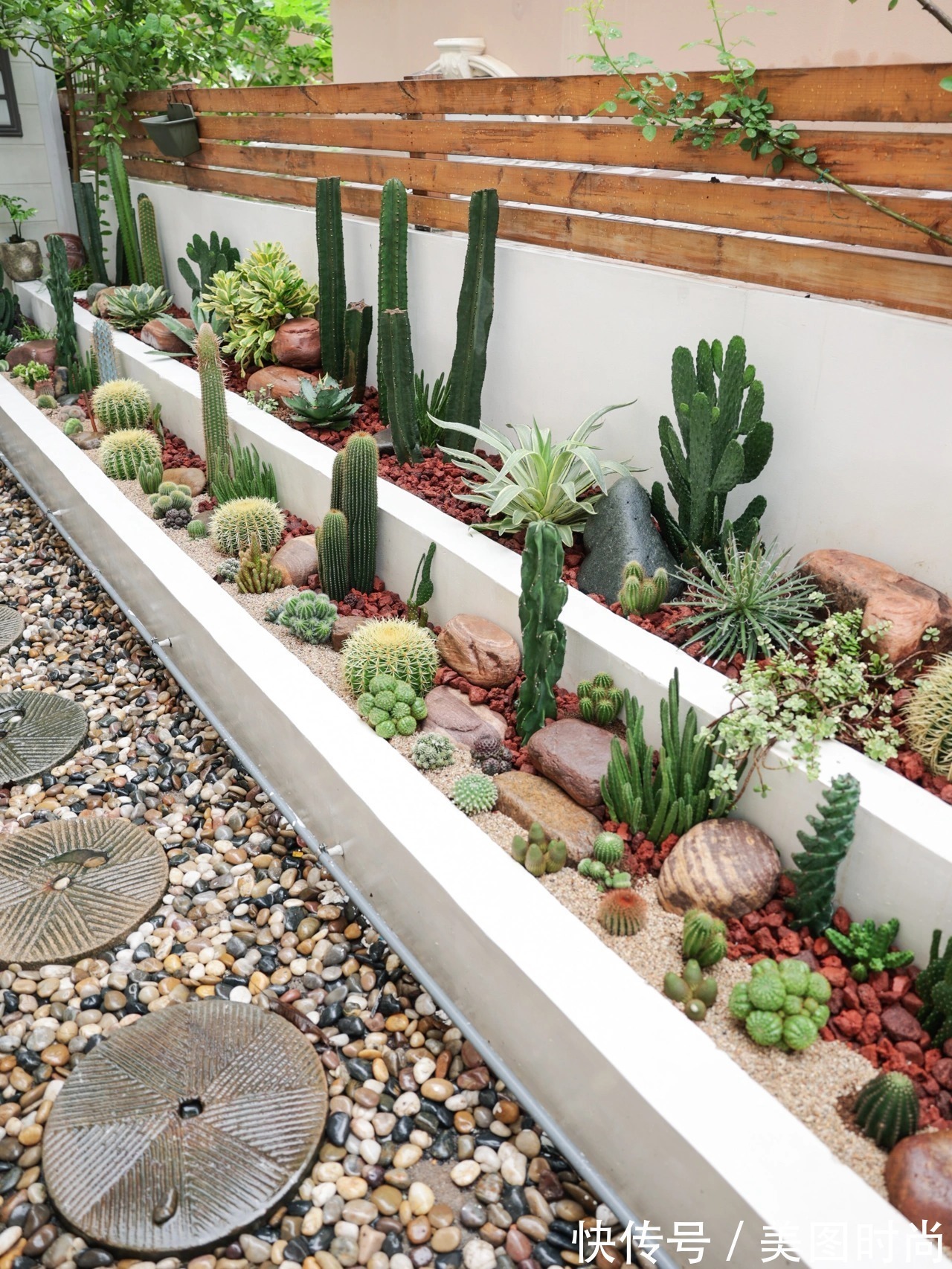 预算8万,改造170㎡别墅“沙漠植物懒人花园”,太好看了