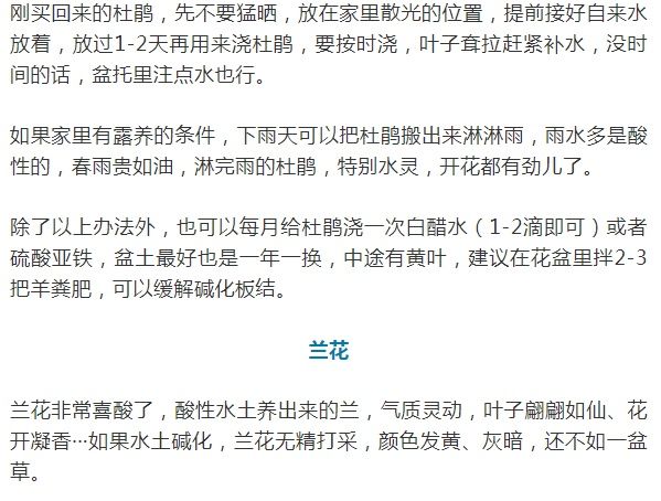 这10种花爱喝醋，浇水加点酸，叶子油亮爱开花！