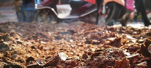 如何将兰花盆栽好？将这5方面落实到位就成功了一大半