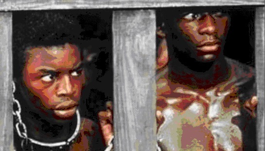 时代|黑人体格健壮，为何在近战搏斗的冷兵器时代，却没有称霸世界？