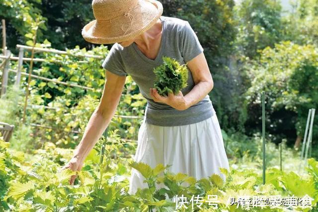时尚|74岁日本奶奶凭穿搭火了!穿衣简单日常,用态度告诉你:何为时尚