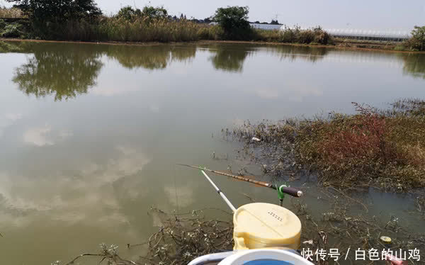 惊蛰之后钓浅滩,注意不是水浅就叫浅滩,这样的地形才有鱼群!