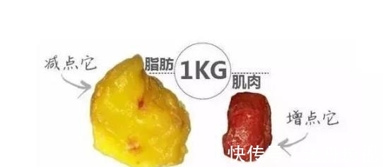 体重|基础代谢率、BMI、体脂肪率、肌肉量、体水分率,这些都是什么?