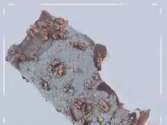 男朋友|男朋友说的“只吃一口”,看到奶茶你走吧,我就没你这个男朋友