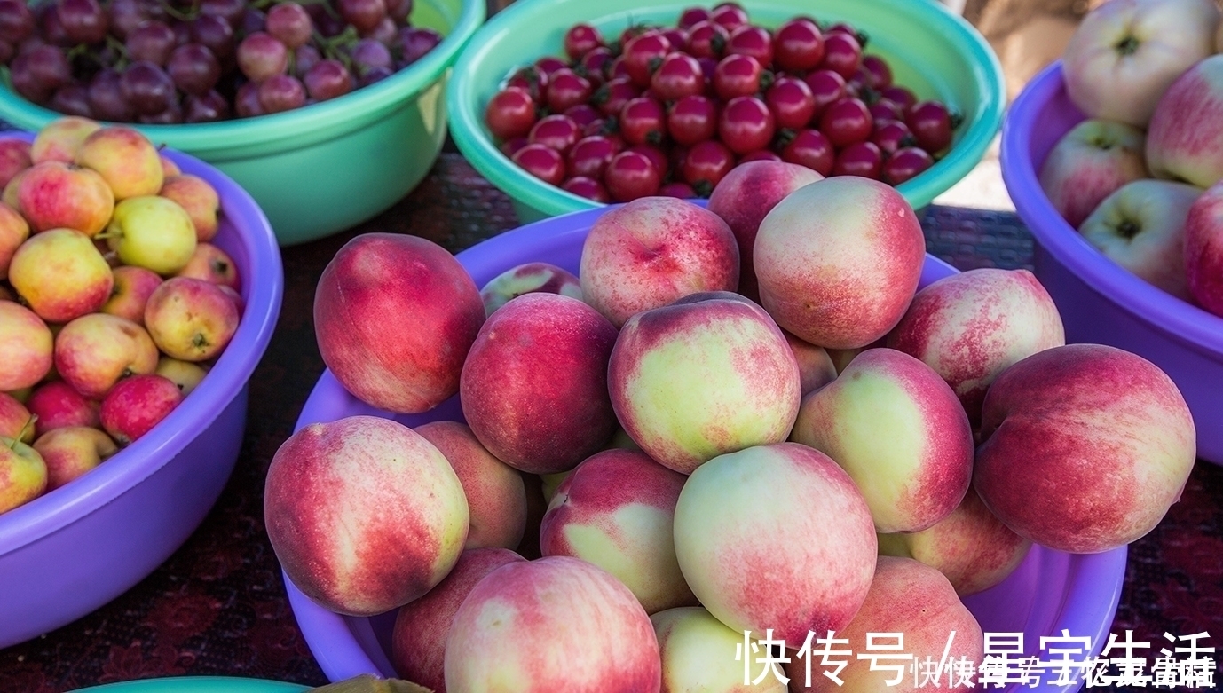 苦甲天下!中国人又一伟大壮举!一张塑料膜,将寸草不生的黄土高原变成绿洲