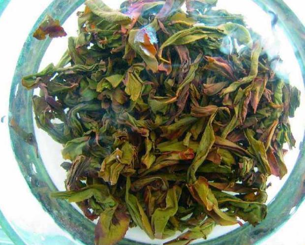 松针|养花高手从不施肥,只用“3样废渣”,盆里放点1年不施肥养啥旺啥