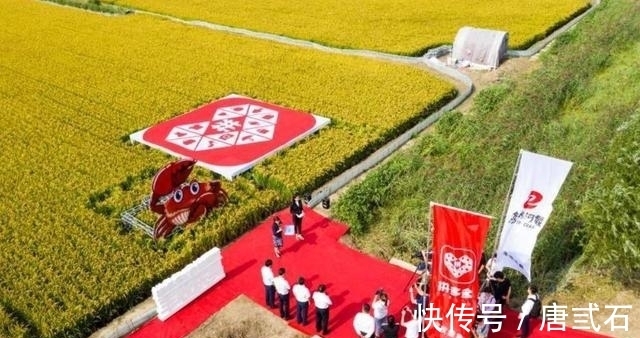中小卖家|拼多多撼动了淘宝的根基，张勇为3年前所说的话感到后悔了吗？