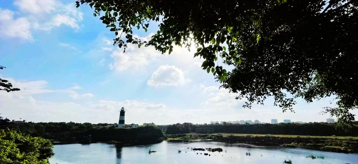 穿越|穿越民国街的风景——游观澜湖华谊冯小刚电影公社