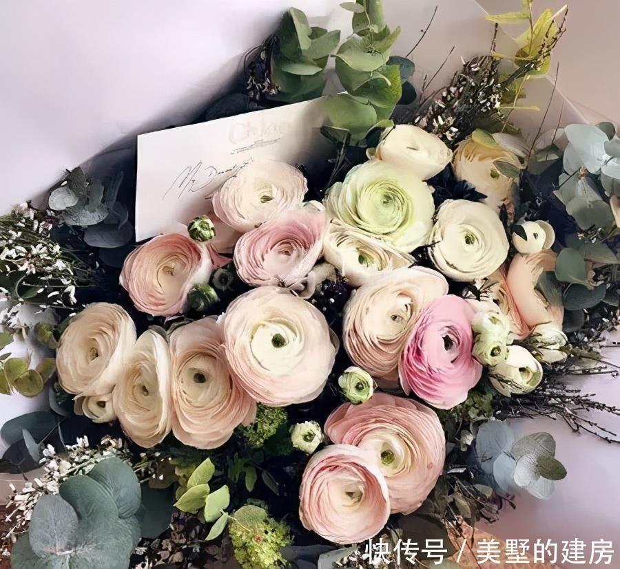 马蹄莲|4种花是婚礼常见花,随便选一种都好看,开了浪漫又唯美