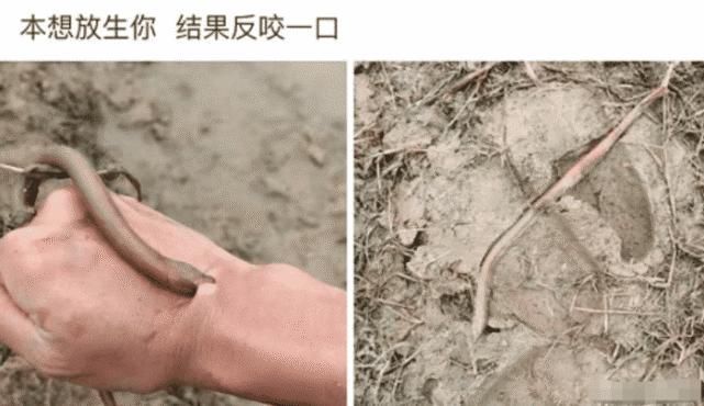 爬上来|“和朋友吃火锅,谁先爬上来谁先吃”我更关心怎么拿上来的……