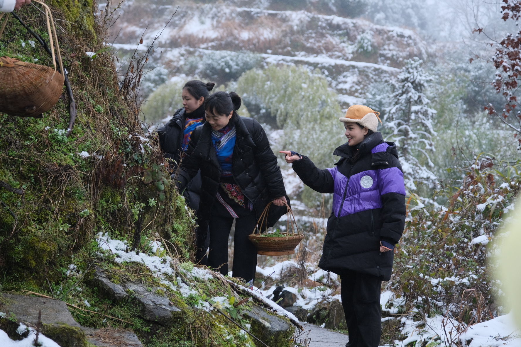 央视镜头|景宁“英川田螺”与“清明粿”，强势出圈