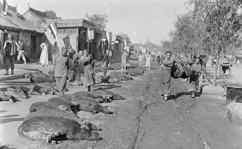 清末|一组清末老照片图3九龙壁前荒草丛生,图4夏天马车运冰块