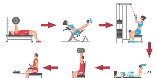 减脂|身上不胖，但脂肪都在腰部4步帮你减掉肚子赘肉