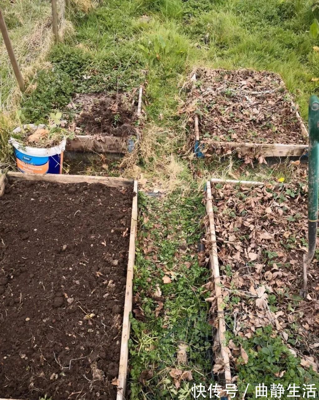 等我老了以后，找个小院陪你养花种菜！