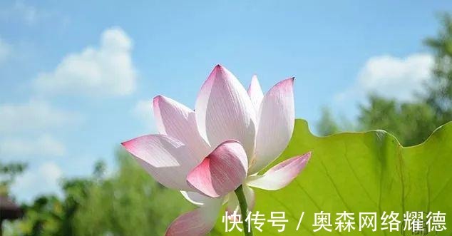 梁实秋|慎之又慎，则无灾无难