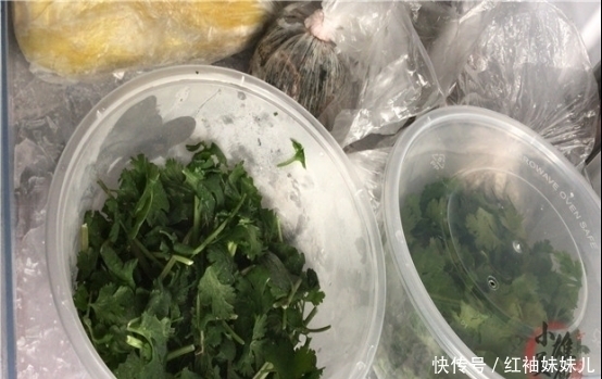 原来保存放半年的香菜这么简单，教你饭店的诀窍，一年只用买一次