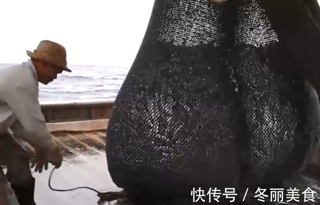 捕捞|原来带鱼是这样捕捞的,难怪每一条都“掉漆”了,真是长见识了