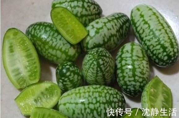 这种西瓜只有拇指那么大，吃起来有一点像黄瓜的味道
