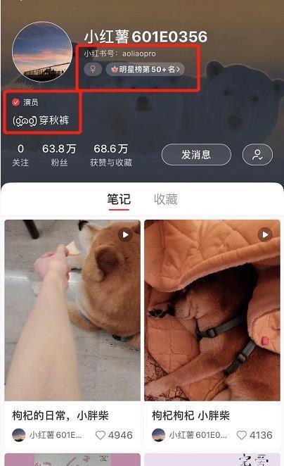 多个平台却疯狂掉粉,每天频繁上线不发声