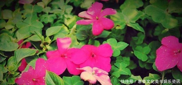 但愿人长久|大宋第一才子苏轼最经典的10句诗词,每一句都是千古绝唱!