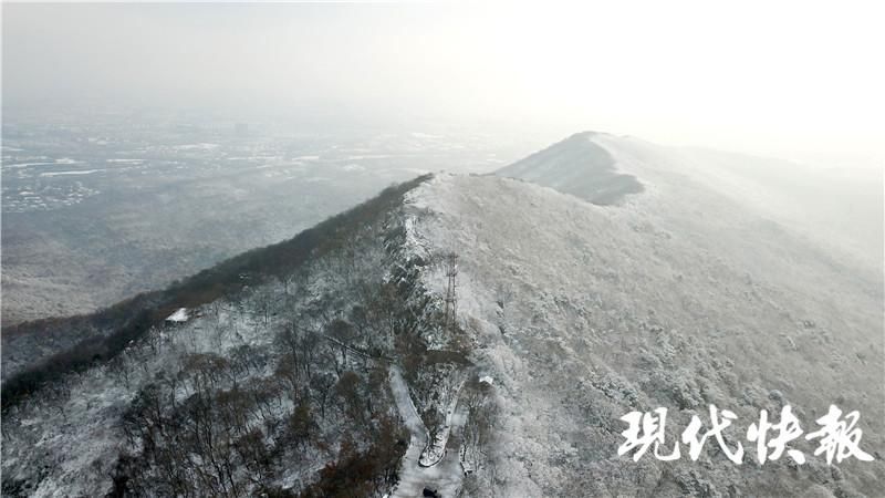 雪落|雪落紫金山，许你一个冰雪世界