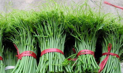 齐民要术|云南特色野菜，数量很少，一斤25元营养高，被誉为“山野菜之王”