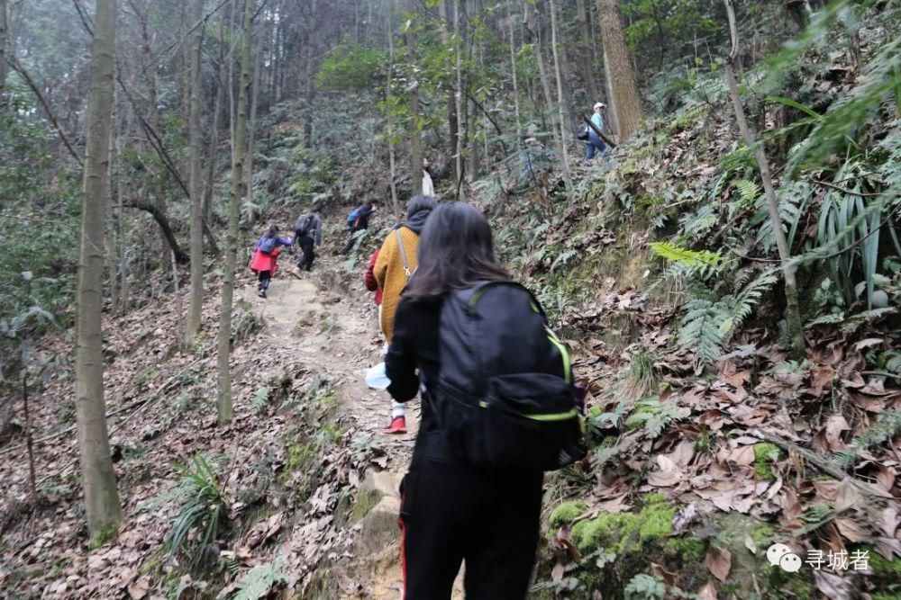 更喜南山千倾野，卅公里后尽开颜