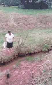 |搞笑GIF：你这真是太忙了，还要拎东西还要打电话还要抓着孩子！