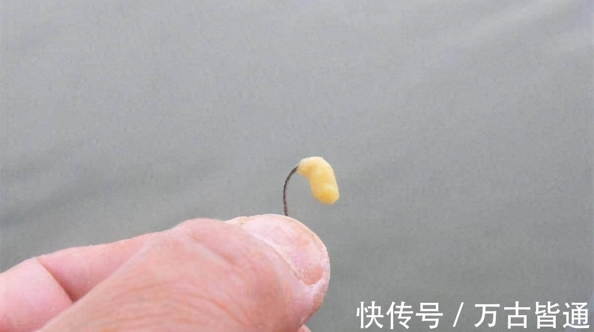 小可钓白条,大可钓青鱼,抖灰面,性价比就是这么高