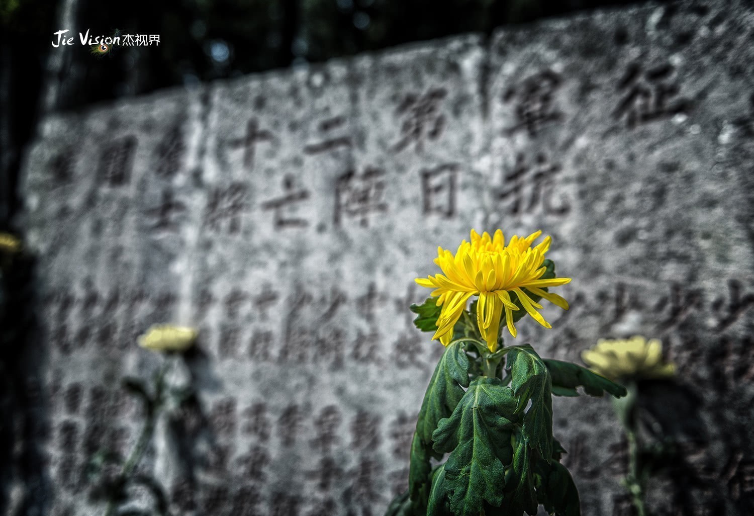 往事|拜谒“国殇墓园”使人泪目的往事 尘封60多年 你们我们不曾忘记!