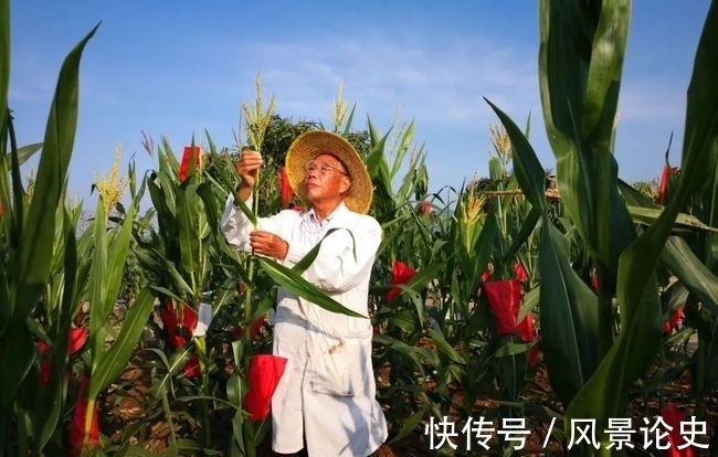 蟄伏6年終圓夢想，6次主持春晚的任魯豫，最大的遺憾是父親的過世