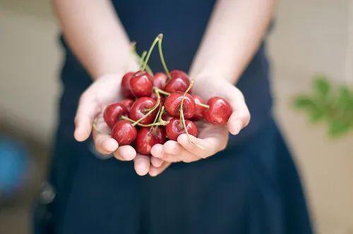 天涯!指尖微凉的记忆,如你留下爱的种子